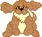 spanielsmallwtail