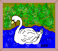 swan
