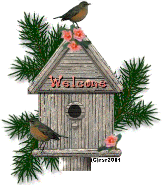 robinhouse