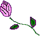 rosep