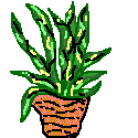 strangeplant