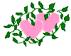 tinypinkheartsright
