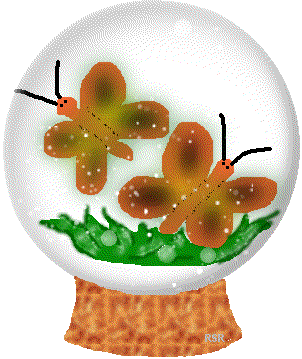 butterflyglobe