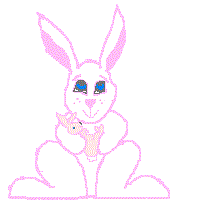 bunnymama