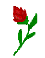 rheart