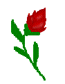 rheartleft