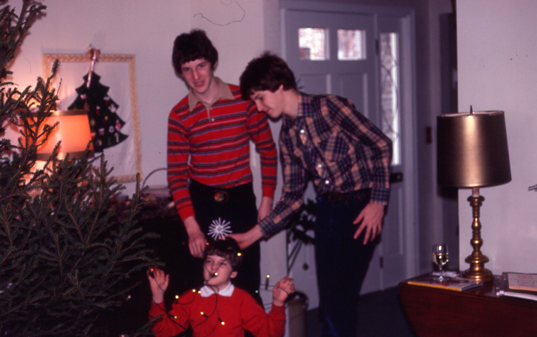79DavidasXmasTree.jpg (296844 bytes)