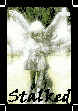 stalked angel