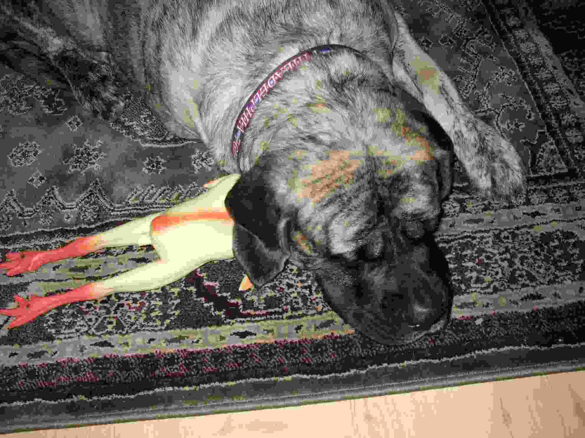 Sleepin wit my chicken - 21 months