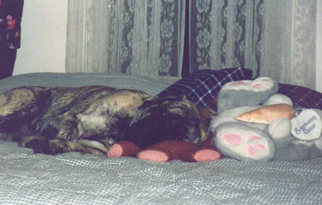 What a bedhog!