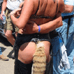 coontail