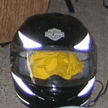 this is Nathan's raingear