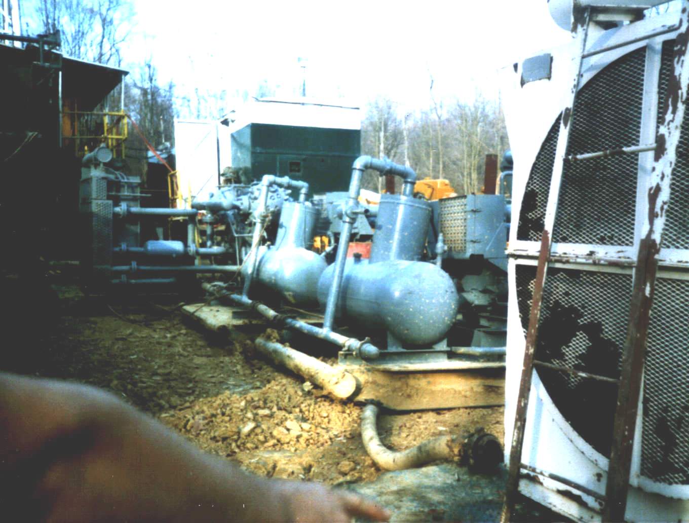 Backyard2.jpg