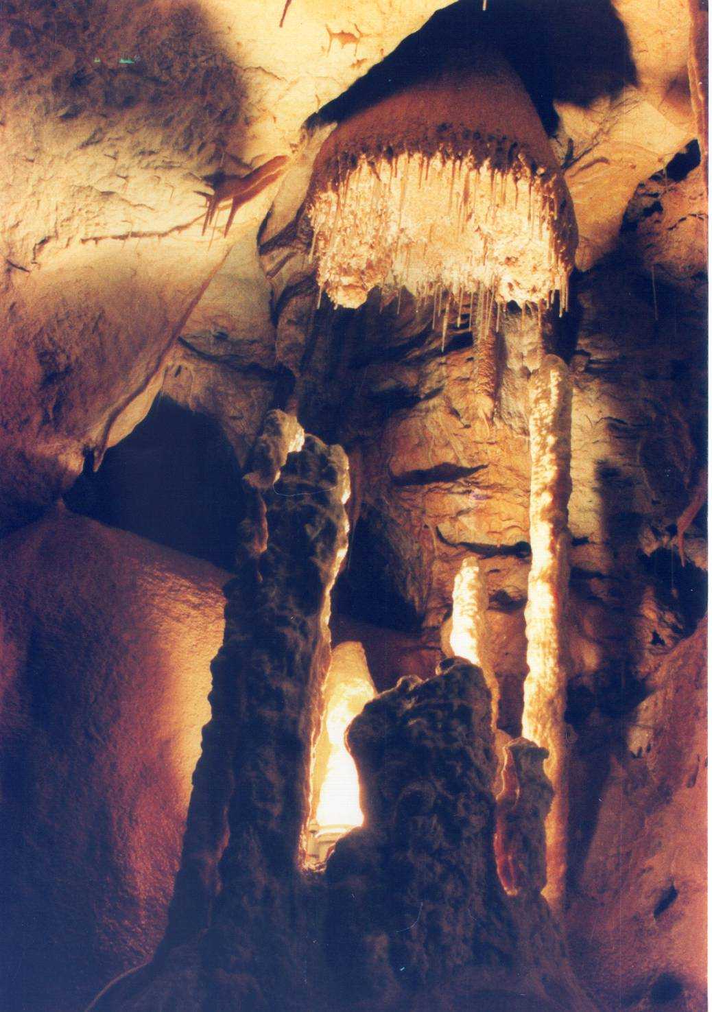 BEARS' CAVE 1