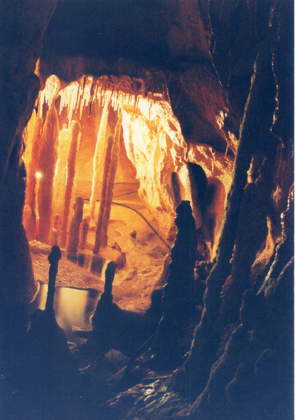 BEARS' CAVE 2