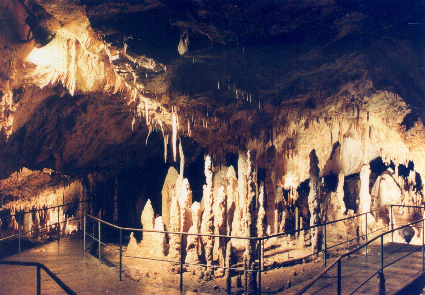 BEARS' CAVE 6