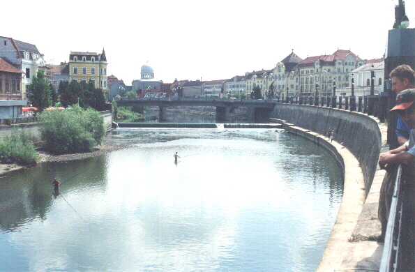 RIVER CRIS IN DOWNTOWN 