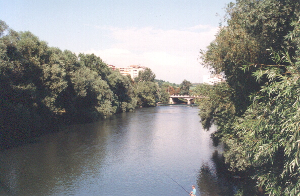 BRIDGE OVER RIVER CRIS