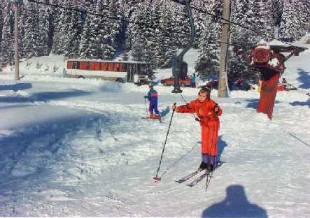 TRANSYLVANIAN ALPS 3