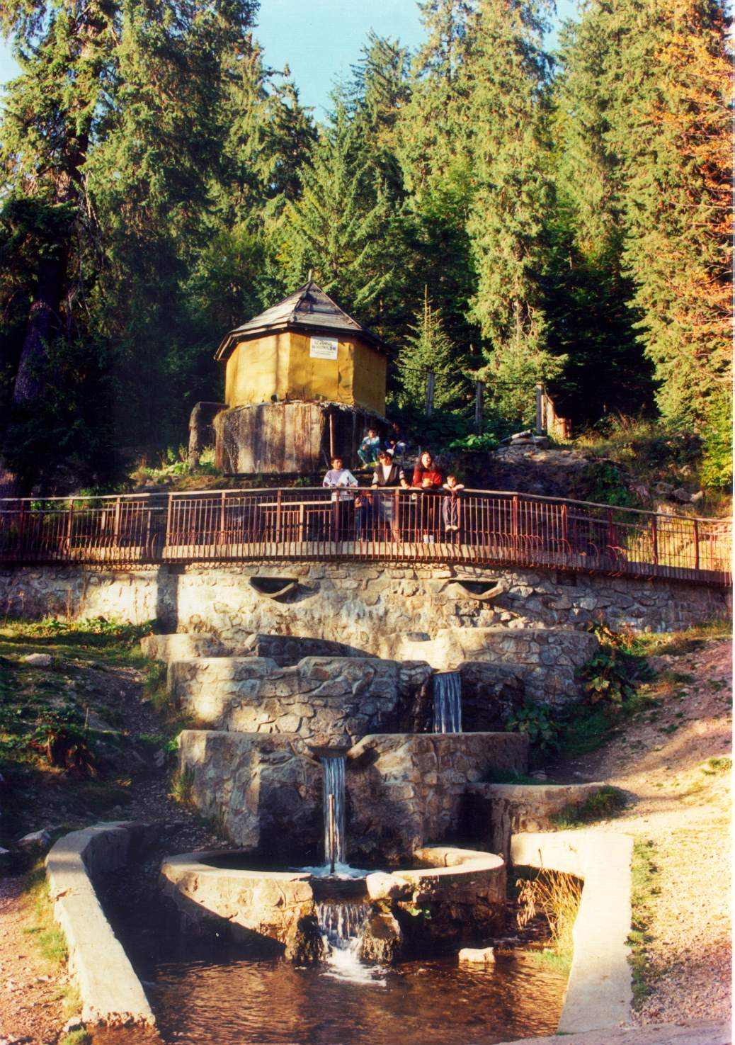 TRANSYLVANIAN ALPS 5