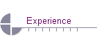 Experience
