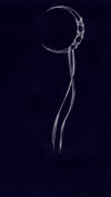 click to see a bigger image of the Moon (David) that Luna is so crazy about...