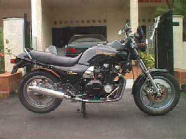 GPZ1100