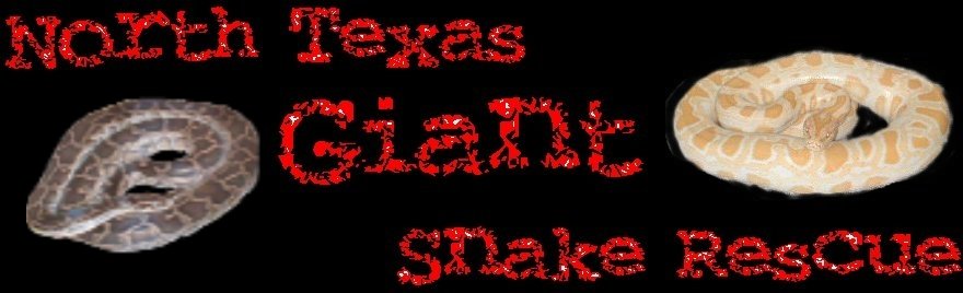 Rescue/Adoption center for Pythons/Boas in the DFW area