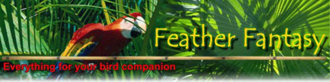 To Feather Fantasy