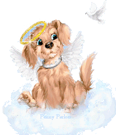 A FurAngel
