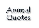 To Animal Quotes