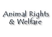 To Animal Rights and Welfare