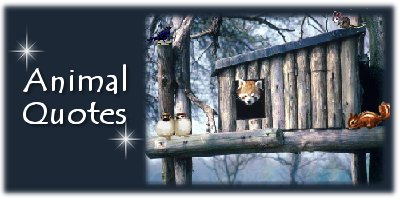 Animal Quotes