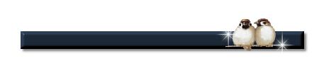 Divider