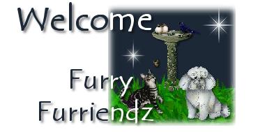 Welcome Furry Furriendz