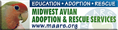 To The Midwest Avian Adoption and Rescue Services