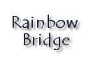 To the Rainbow Bridge