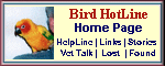 To The Bird Hot Line