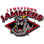 The Jamestown Jammers page on mLB.com