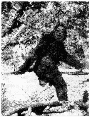 Bigfoot Garcia?