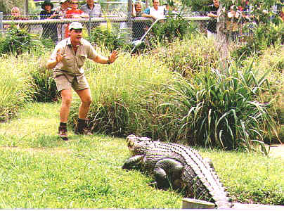 Crocdemo