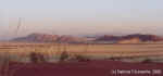 The Namib Desert before sunset - Namibia