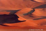A red ocean - Namib Desert, Namibia