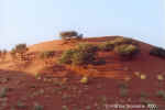 Namib Desert, Namibia