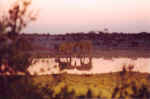 Sunset with elephants at Okaukuejo, Etosha - Namibia