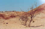 Moon Landscape - Click to enlarge