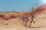 Moon Landscape - Namibia
