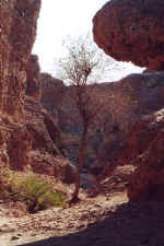 Sesriem Canyon - Click to enlarge