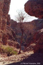 Sesriem Canyon - Namibia
