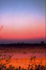 Venus setting after the sun - Okaukuejo.  Click to enlarge